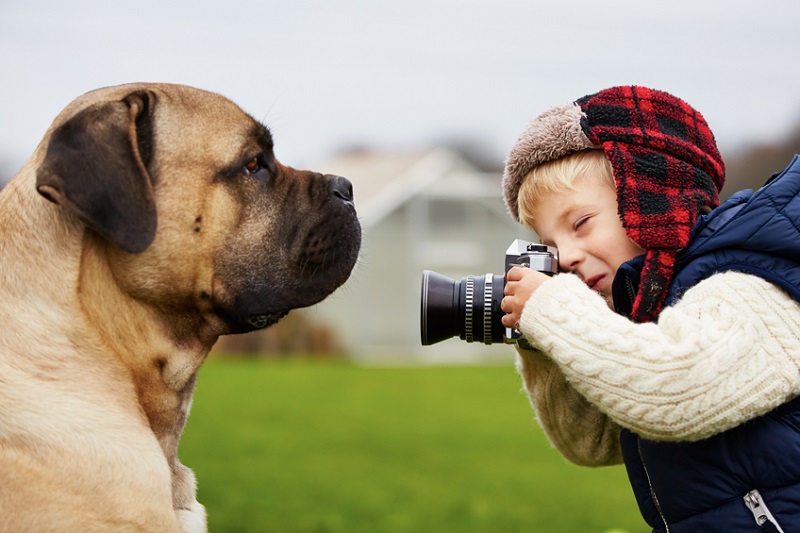 Snap Tipps Der Snapfish Blog Für Neue Und Inspirierende